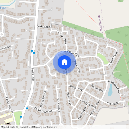 Whimbrel Way, DN36, New Waltham