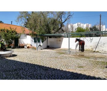 Moradia T4 em Lisboa - Foto 6