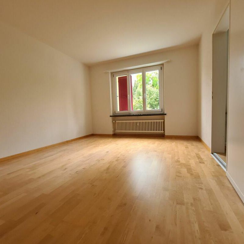 3.5 Zimmer Wohnung - Photo 1