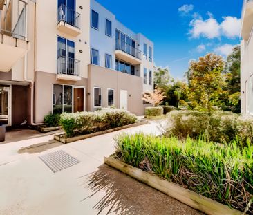 Large Studio - Photo 6