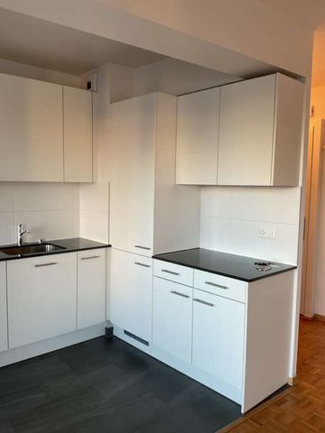 Grand-Lancy - 4 pièces avec balcon - Foto 2