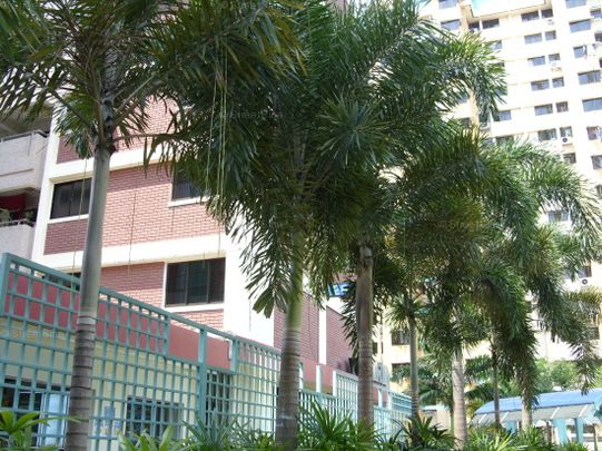 Blk 28 KELANTAN COURT (Central Area), HDB 3 Rooms - For Rent - Photo 1