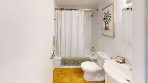 218 Maclaren Street, Centretown, Ottawa, ON - Photo 1