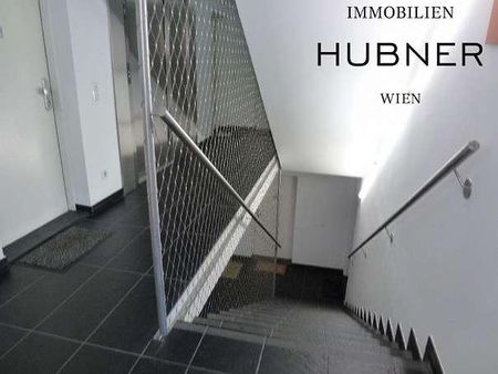 Ruhige Neubauwohnung im Architektenhaus + Blick ins Grüne // Ab Dezember!! - Foto 2