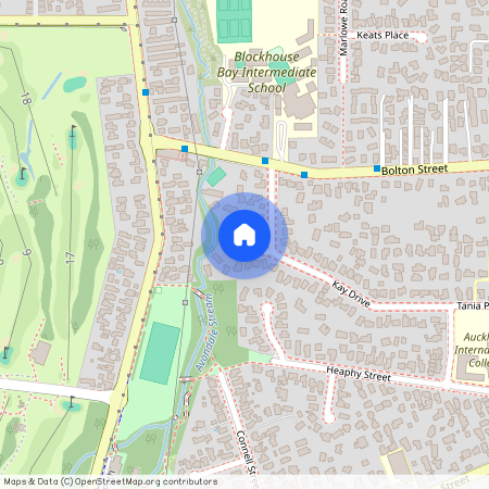 3 Bellamy Place, Blockhouse Bay, Auckland