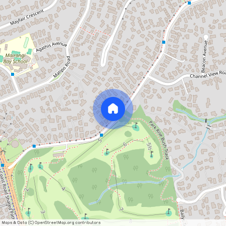 109 Kowhai Road, Mairangi Bay, North Shore City