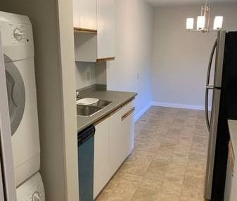 Large 2 bedroom 1.5 bathroom with in suite laundry - Photo 2