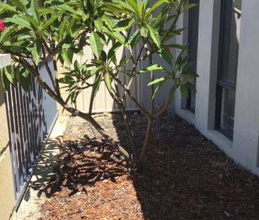 184 Pebble Beach Boulevard, Meadow Springs WA 6210 - House For Rent... - Photo 4