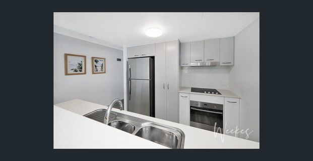 OCEAN VIEWS IN CENTRAL BARGARA! - Photo 1