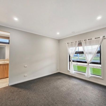 Modern, Spacious & Large Yard - Photo 3