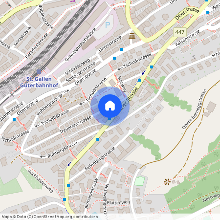 Treuackerstrasse 31, 9000 St. Gallen