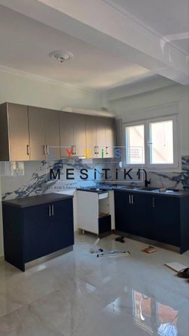 Διαμέρισμα για ενοικίαση Λόφος Βελισσαρίου - Λούτσα (Ιωάννινα) - Photo 3