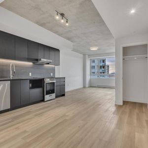 1 Bedroom - 5100 Boulevard De L'Assomption, Montréal - Est - Photo 3