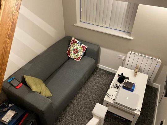 1 bedroom private hall to rent - Photo 1