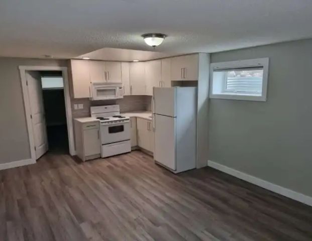 Spacious 3-Bedroom, 2-Bathroom Basement Suite for Rent | 8904 150 Street Northwest, Edmonton - Photo 1