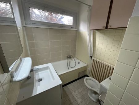 Location appartement 1 pièce - 26m² à Viuz en sallaz (74250) - Photo 3