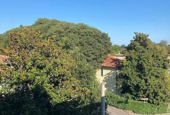 Vicolo Pastori, Padova, Veneto 35131