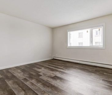 1 Bedroom - Photo 6