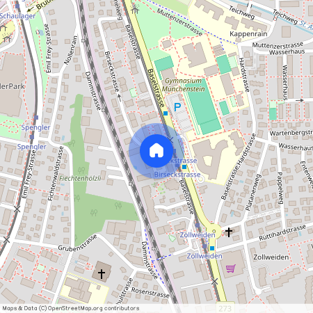 Birseckstrasse 58, 4142 Münchenstein