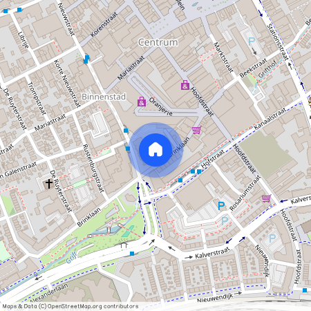 Brinklaan 112, Binnenstad, 7311JE, Apeldoorn