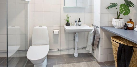 Ebbe Lieberathsgatan 20 E - Photo 2