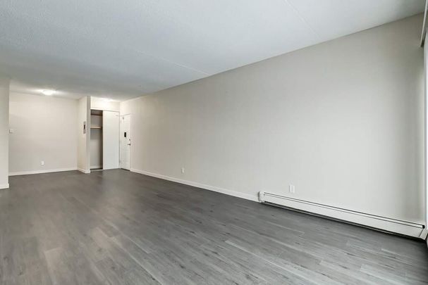 1 Bedroom - Photo 1