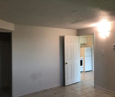 Rideau East Apartments — Big one bedroom at Lees station - Photo 3