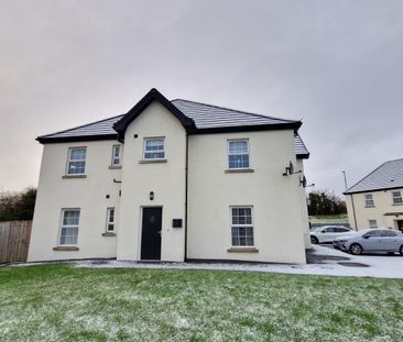 97 Cambric Court, BT25, Dromore - Photo 3