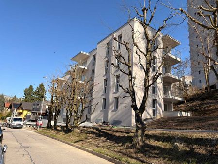 3.5 Zimmer, 65 m², 1. Stock - Foto 2