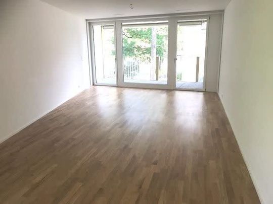 2.5 Zimmer, 68 m², 3. Stock - Foto 1