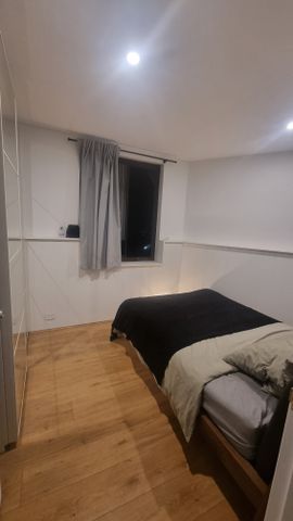 Hurlstone Park - Photo 5