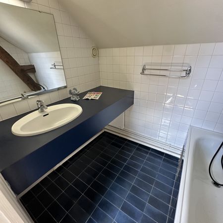 Location Appartement 1 pièce 17m² ST JEAN LE BLANC 45650 - Photo 3