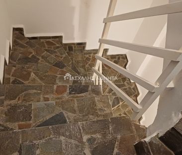 ΑΤΣΑΛΕΝΙΟ 2,5ΑΡΙ ΔΙΑΜΕΡΙΣΜΑ ΕΝΟΙΚΙΑΣΕΙΣ 20099 - Photo 5