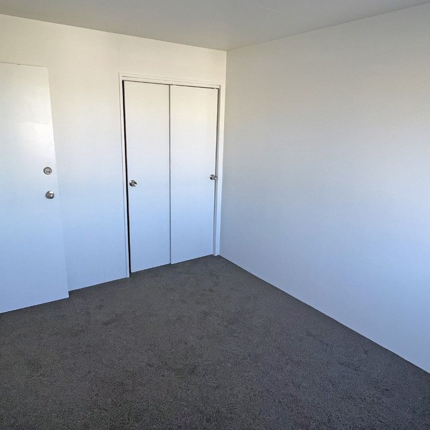 113B York Place, Dunedin Central, Dunedin City - Photo 1