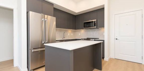 "New Modern & Spacious 2-Bed/2 Bath Penthouse Available! - Photo 2