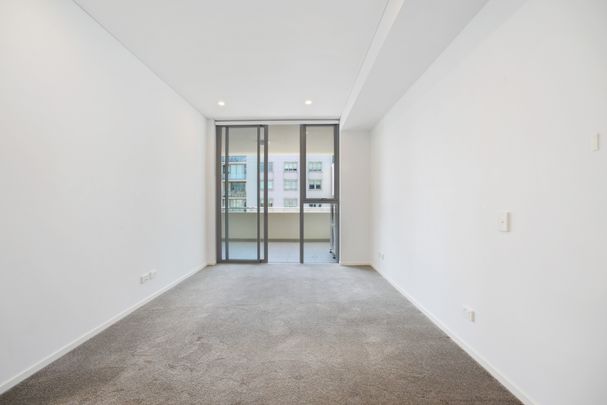 15/205 Maroubra Road, Maroubra NSW 2035 - Apartment For Rent | Domain - Photo 1