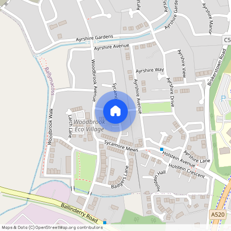 16 Alder Way, Lisburn, BT28 2SX