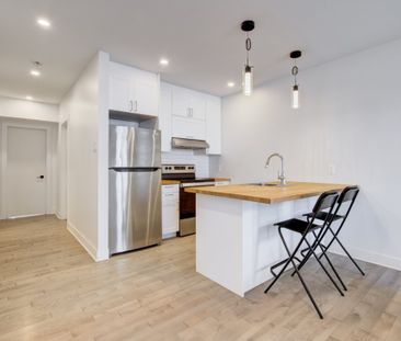 Appartement à louer - Montréal (Ville-Marie) (Village) - Photo 4