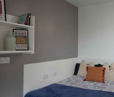 Silver Studio - Photo 6