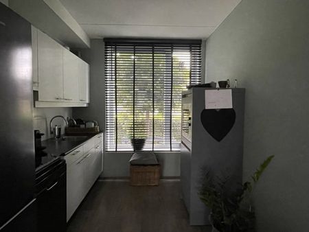 Te huur: Huis Kamgras in Meppel - Foto 2