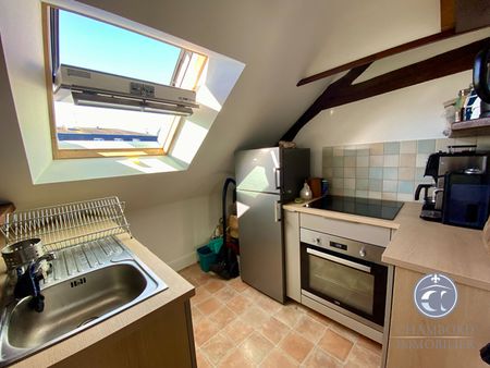 T2 Meublé - BLOIS - Photo 4