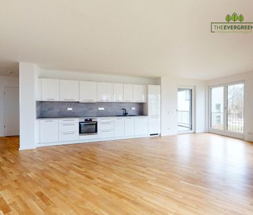 Modernes Wohnen! 3-Zimmer-Wohnung mit Einbauküche - Photo 5