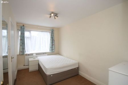 Leinster Road, Rathmines, Dublin 6 - Photo 3