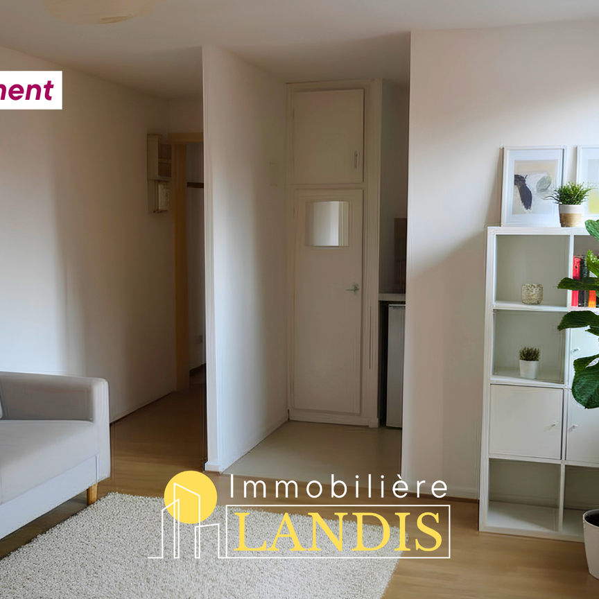 Location Appartement 2 pièces 33m² SELESTAT 67600 - Photo 1