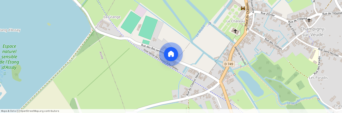 37120, Champigny-Sur-Veude