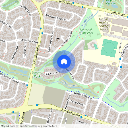 37 Silvana Drive, Flat Bush, Manukau City