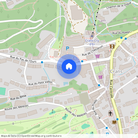 3963, Crans-Montana, Rue du Pas de l'Ours, 9