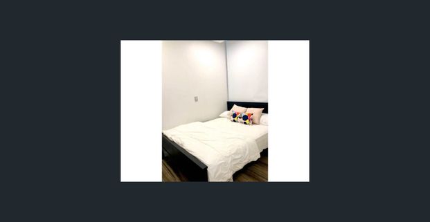 EXCELLENT Luxury 3 bedrooms near UNSW and Eastgardens shopping mall - Photo 1