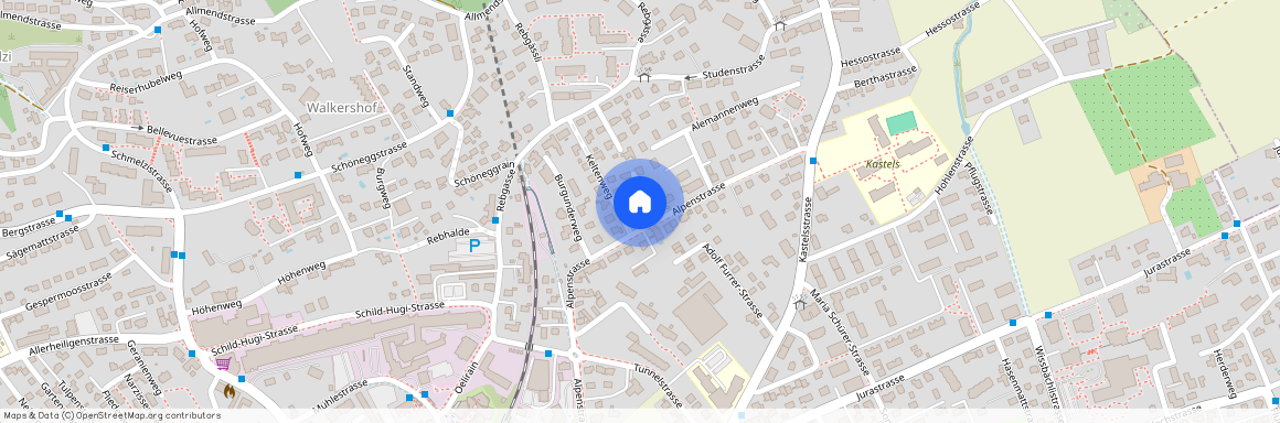 2540, Grenchen, Alpenstrasse, 41