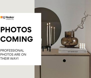 Beautiful Light-Filled Apartment! - Photo 1